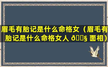 眉毛有胎记是什么命格女（眉毛有胎记是什么命格女人 🐧 面相）